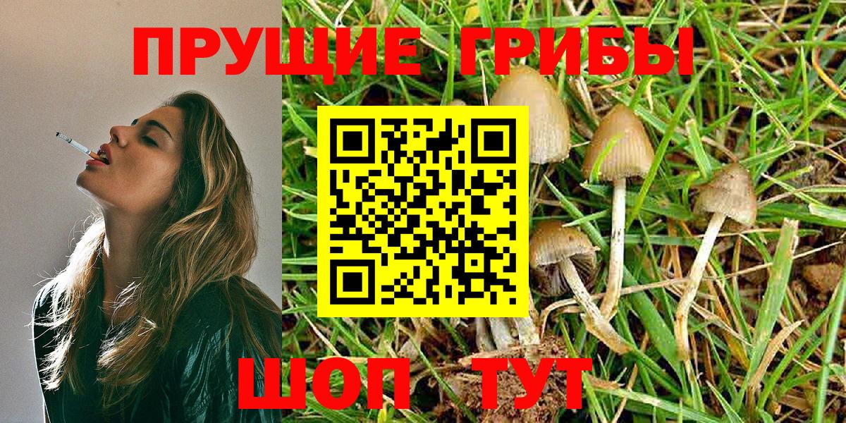 Галлюциногенные грибы GOLDEN TEACHER Ейск